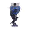 Ravenclaw Collectible Goblet Nemesis Now
