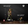 ACOMPTE 10% Précommande RAPHAEL Deluxe 1:2 Scale Statue PCS
