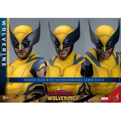 WOLVERINE DELUXE SET - Deadpool & Wolverine MMS754 Figurine 1/6 Hot Toys