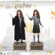 HERMIONE Chamber of Secrets Life Size Statue Muckle