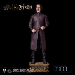 SEVERUS SNAPE - Harry Potter and the Chamber of Secrets Life Size Statue Muckle