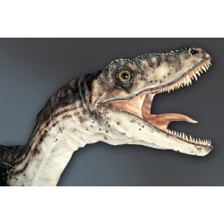 Deinonychus RA-1 (Raptor) Statue Taille Réelle Oxmox