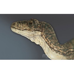 Deinonychus RA-2 (Raptor) Statue Taille Réelle Oxmox