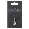 Platform 9 3/4 Slider Charm The Carat Shop