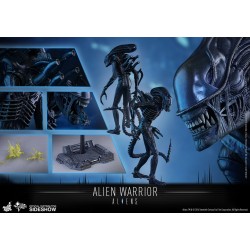 Alien Warrior - Aliens Figurine 1/6 Hot Toys