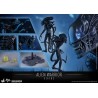 Alien Warrior - Aliens Figurine 1/6 Hot Toys