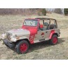 Number 29 Jeep Wrangler Sahara JP 29 License Plate Jurassic Park (1993)