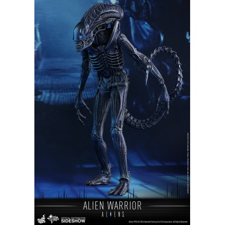 Alien Warrior - Aliens Figurine 1/6 Hot Toys
