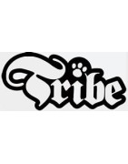 Tribe