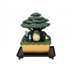 MON VOISIN TOTORO  Bonsai KASAJUKU Water Garden BENELIC