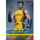WOLVERINE DELUXE SET - Deadpool & Wolverine MMS754 Figurine 1/6 Hot Toys