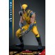 WOLVERINE DELUXE SET - Deadpool & Wolverine MMS754 Figurine 1/6 Hot Toys