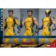 WOLVERINE DELUXE SET - Deadpool & Wolverine MMS754 Figurine 1/6 Hot Toys