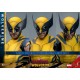 WOLVERINE DELUXE SET - Deadpool & Wolverine MMS754 Figurine 1/6 Hot Toys